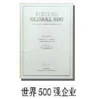 世界500强企业